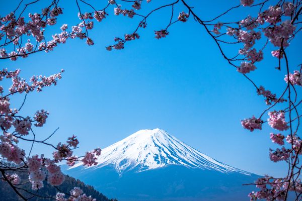 Mount Fuji - Japan - Doets Reizen