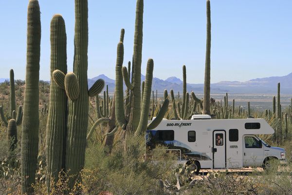 Saguaro National Park - Arizona - Doets Reizen