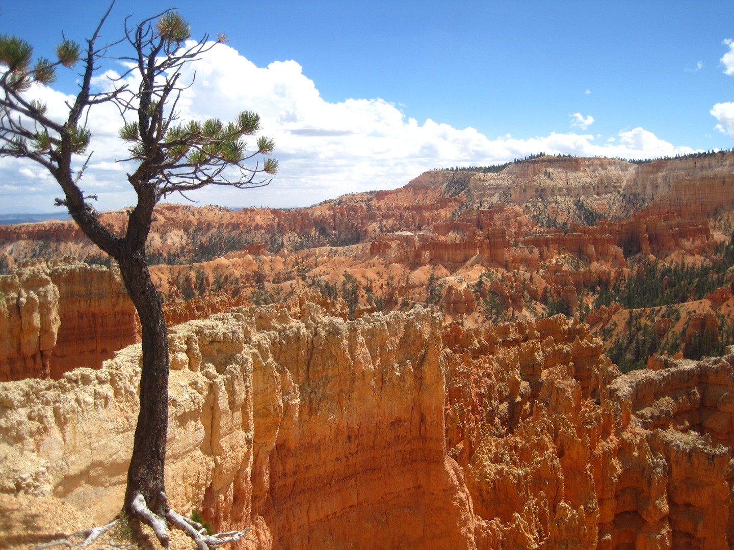 ​Bryce Canyon National Park - Utah - Doets Reizen