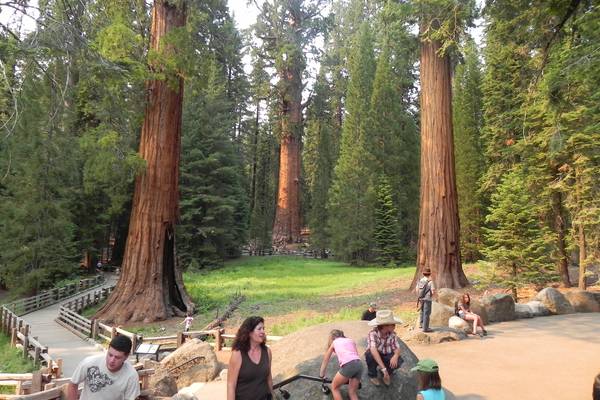 Sequoia National Park - California - Amerika - Doets Reizen