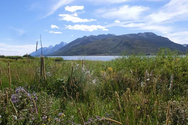 Grand Teton National Park - Wyoming - Doets Reizen