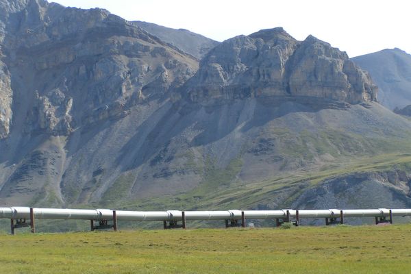 Alaskan Pineline - Fairbanks - Alaska - Doets Reizen