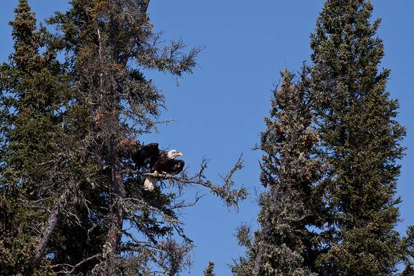 Churchill - Manitoba - Canada - Doets Reizen