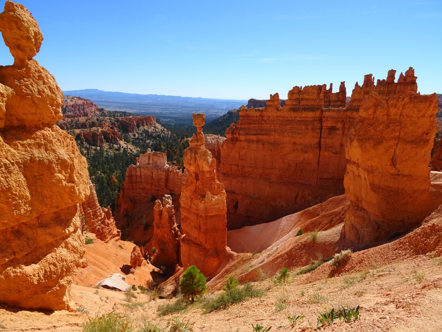 ​Bryce Canyon National Park - Utah - Doets Reizen