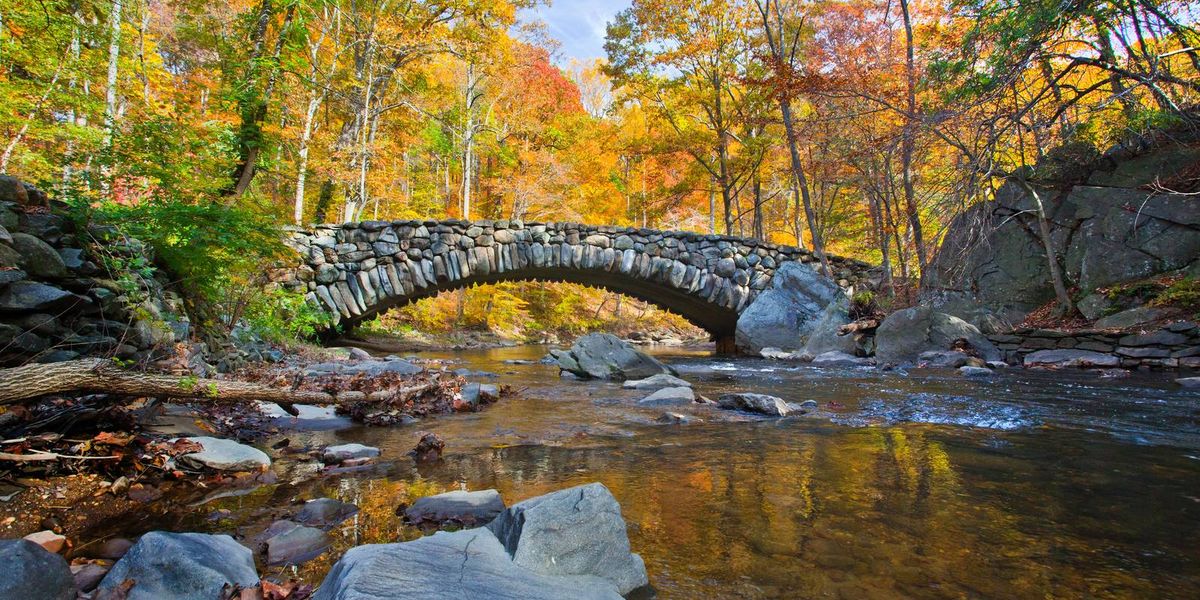 Rock Creek Park - Washington D.C. - Doets Reizen