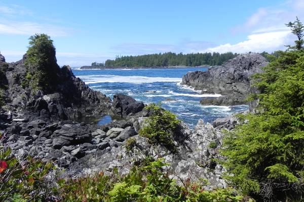 Pacific Rim National Park - Vancouver Island - British Columbia - Canada - Doets Reizen