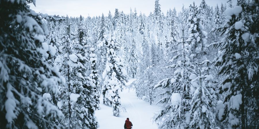 Fins Lapland Winter - Doets Reizen - Vakantie Finsland - Credits VisitLapland