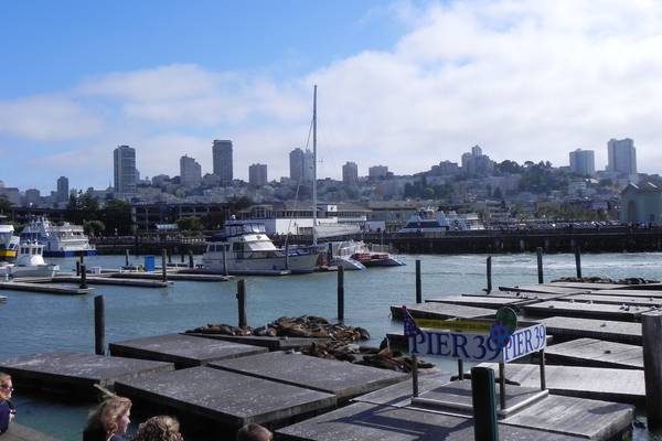 Pier 39 - San Francisco - California - Amerika - Doets Reizen