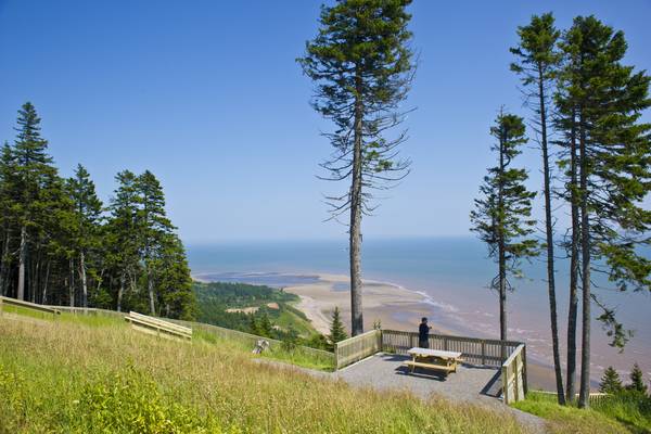 Bay of Fundy National Park - New Brunswick - Canada - Doets Reizen