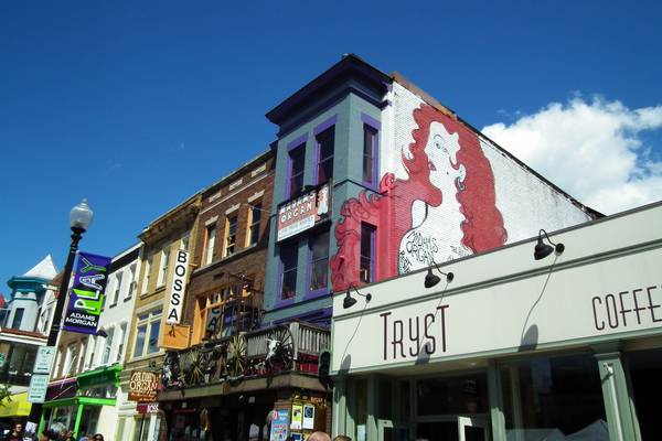 Washington D.C. - Doets Reizen