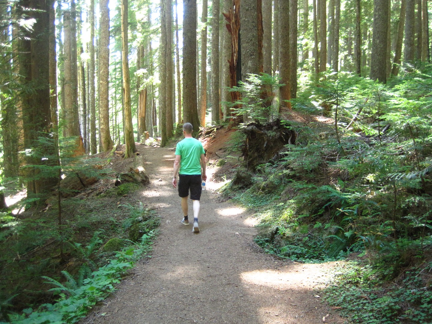 Mount Rainier National Park - Washington State - Doets Reizen