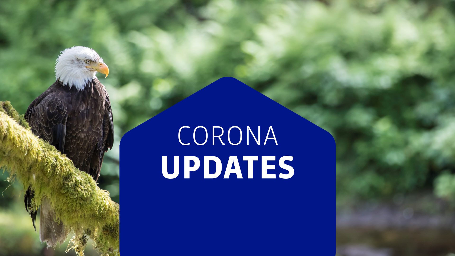 Corona Virus | Corona-virus | Doets Reizen | Reisadvies Amerika | Reisadvies Canada | FAQ