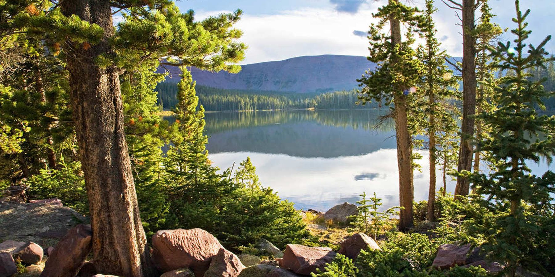 Bezoek Ashley National Forest Doets Reizen