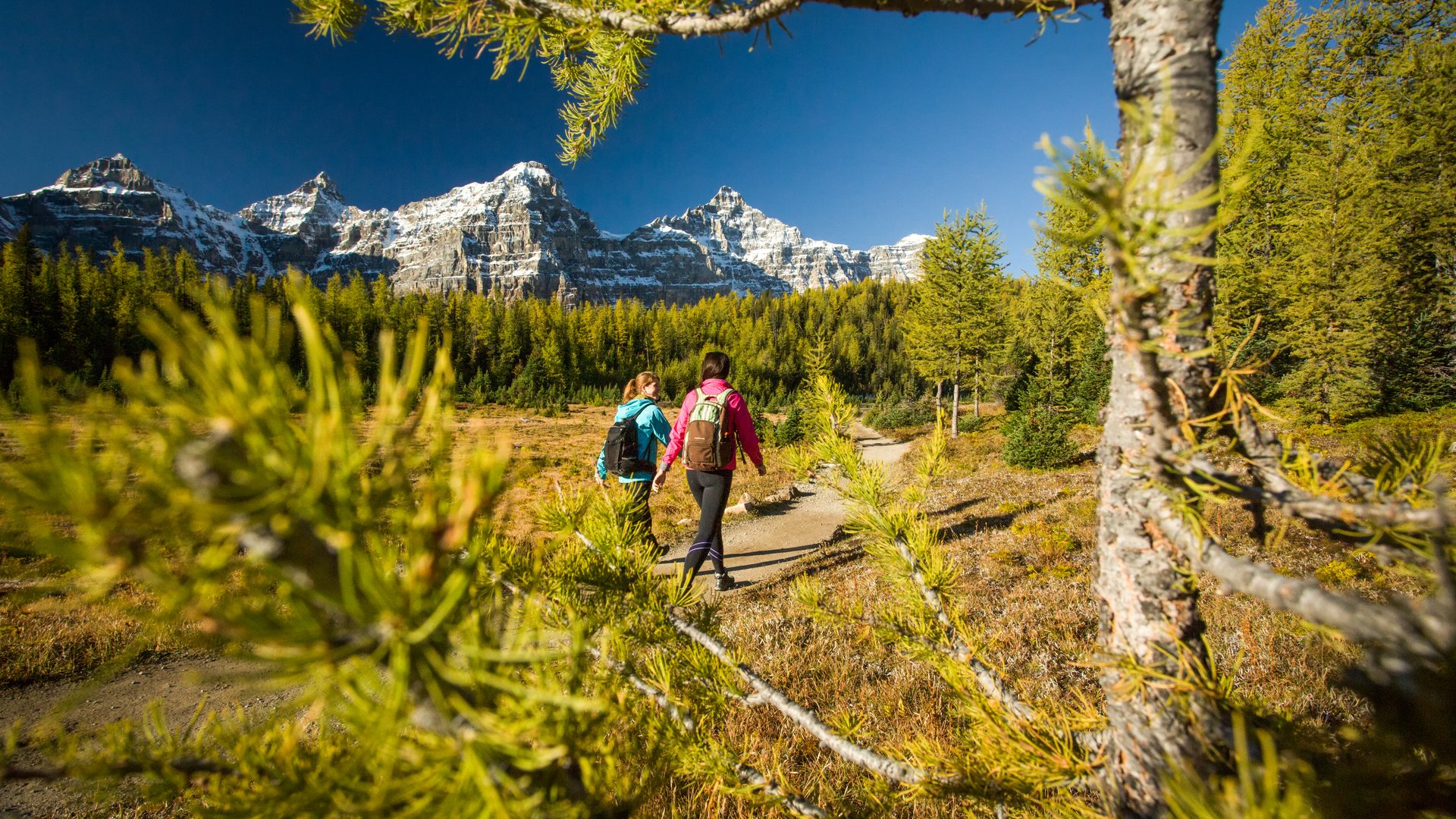 Banff National Park - Alberta - Canada - Doets Reizen