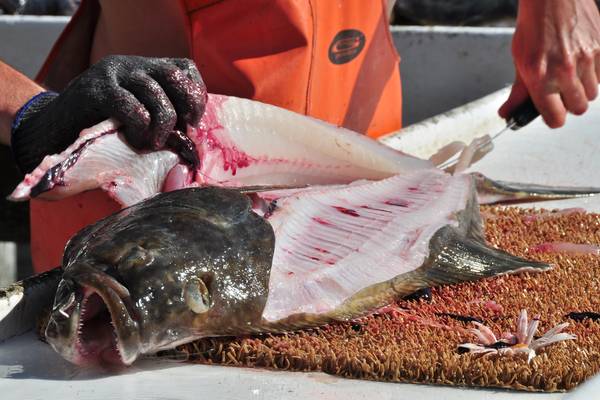 Valdez - Alaska - Doets Reizen