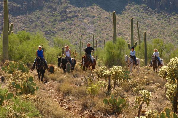 Tucson - Arizona - Doets Reizen
