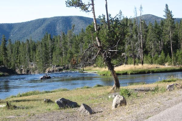 Yellowstone National Park - Wyoming - Doets Reizen