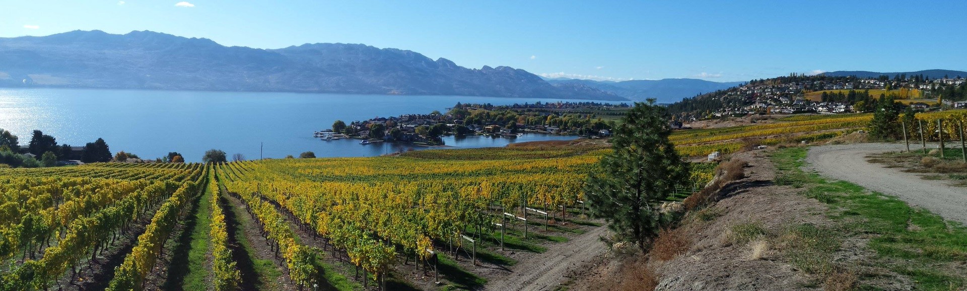 Quails' Gate - Kelowna - Okanagan Valley - British Columbia - Canada - Doets Reizen