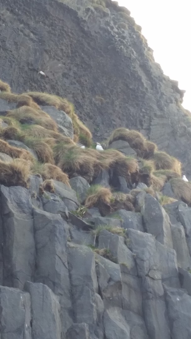 Black Beach - IJsland - Doets Reizen