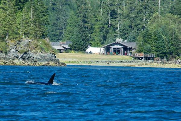 Clayoquot Wilderness Lodge - Pacific Rim National Park - Vancouver Island - British Columbia - Canada - Doets Reizen