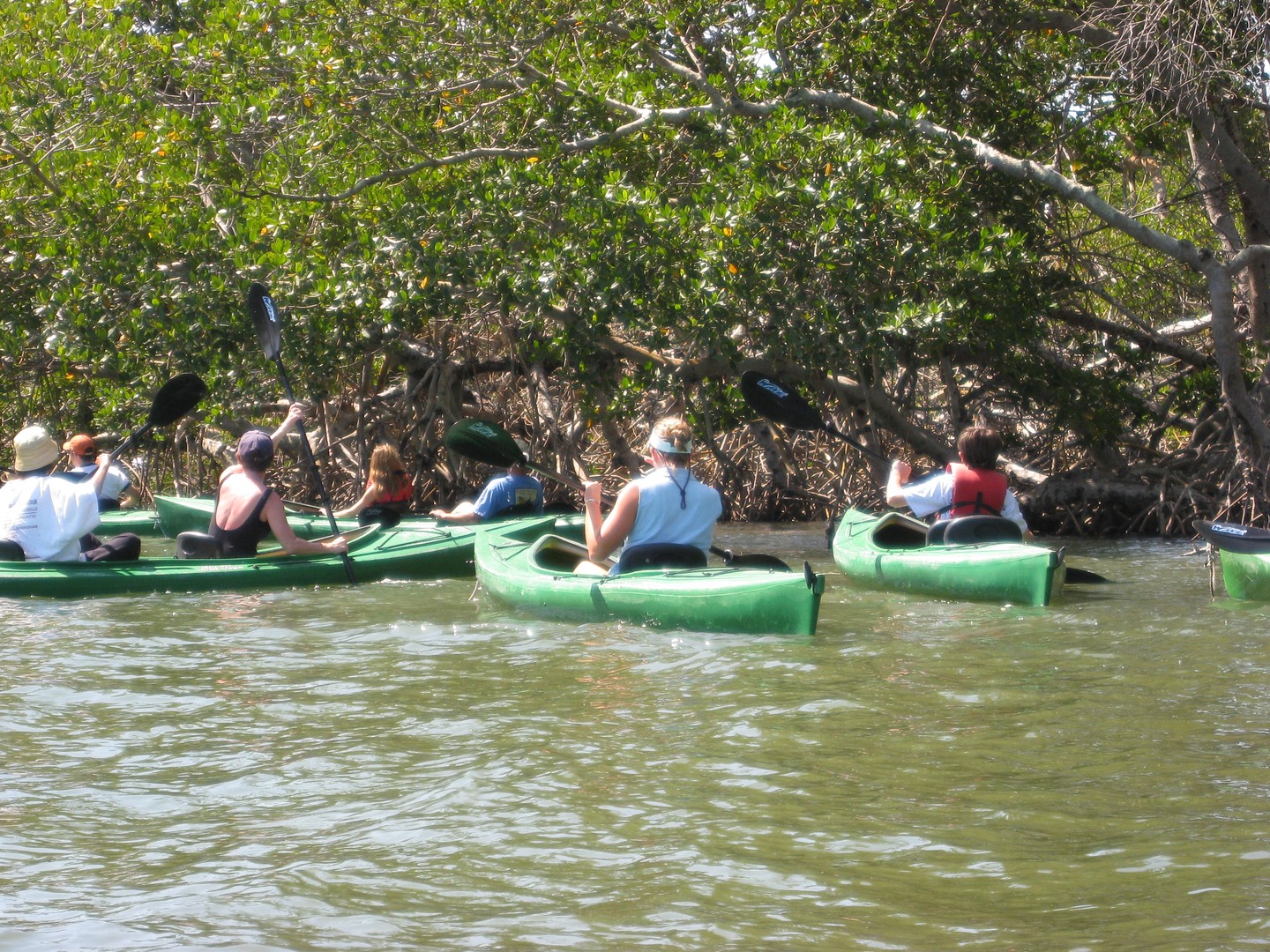Kajakken Sanibel Island - Florida - Doets Reizen