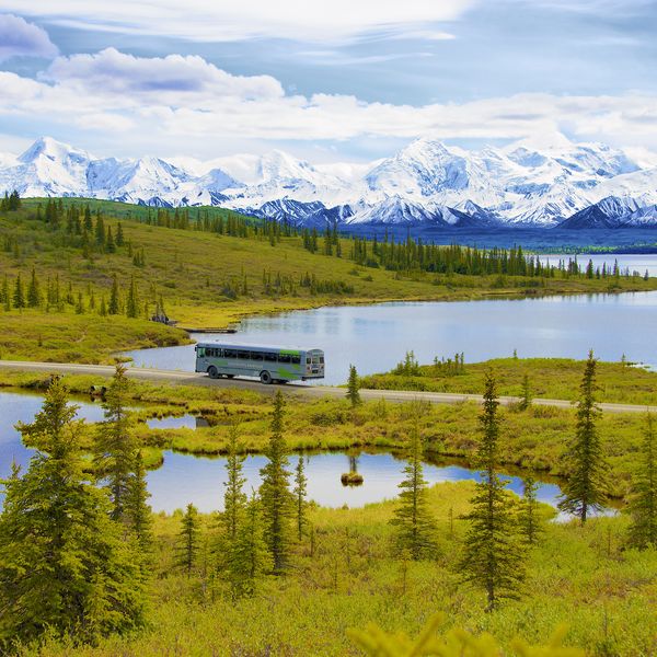 Denali Backcountry Adventure - Denali National Park - Alaska - Doets Reizen