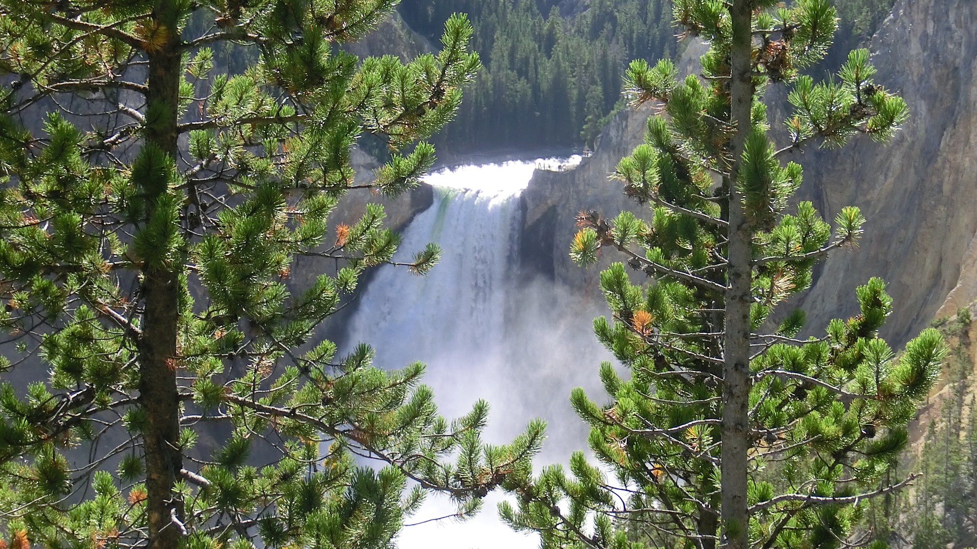 Yellowstone National Park - Wyoming - Doets Reizen