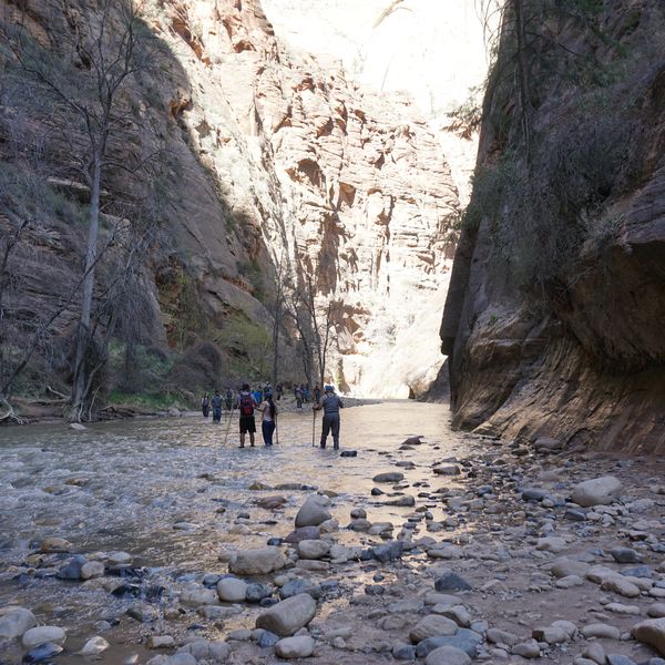 Zion National Park - Utah - Vakantie West Amerika - Doets Reizen (15)
