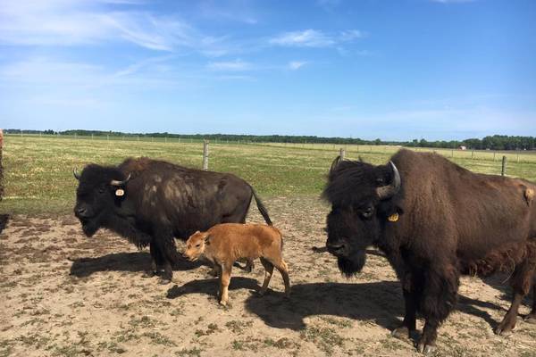 Indiana - Amerika - Doets Reizen