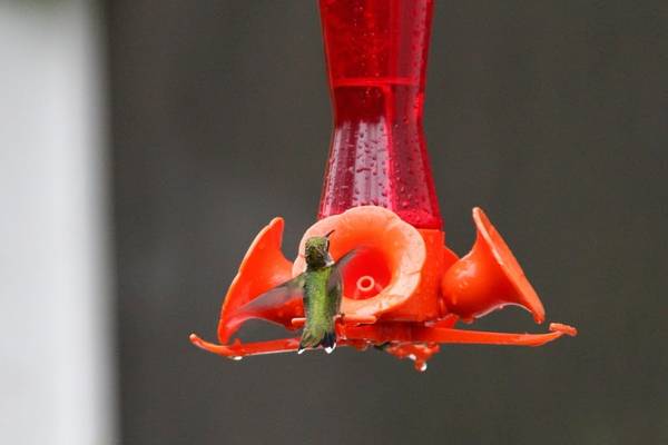 Nova Scotia - Canada - Doets Reizen