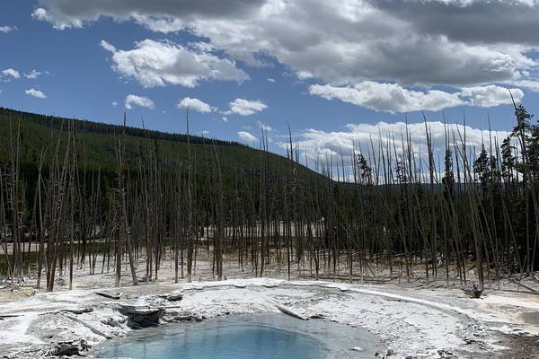 Yellowstone National Park - Wyoming - Doets Reizen