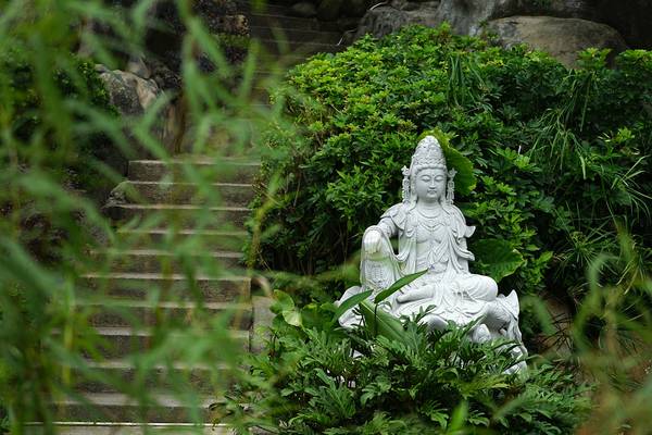 Buddhabeelden China | Doets Reizen