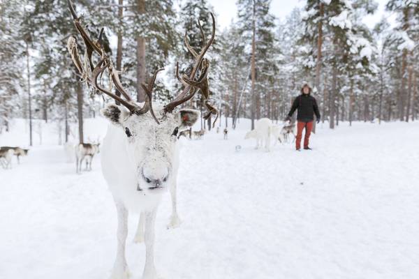 Zweeds Lapland - Doets Reizen - Vakantie Zweden - Credits SwedishLapland.com