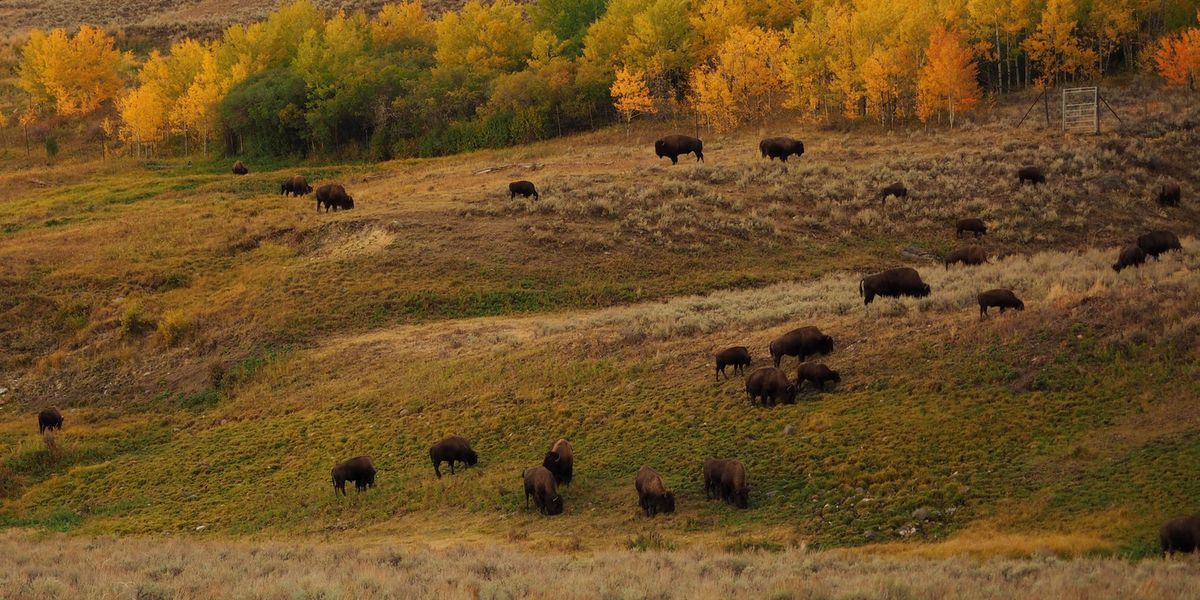 Sfeer - Texas - Amerika - Doets Reizen