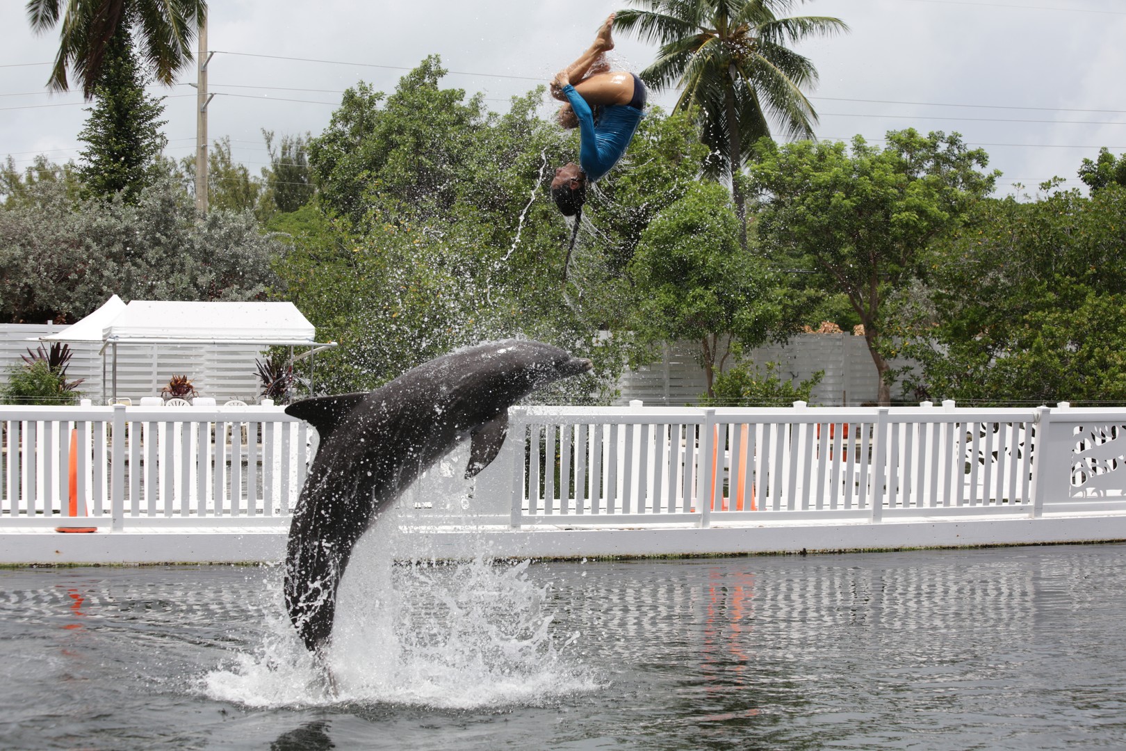 Theater of the Sea - Islamorada - The Keys - Florida - Doets Reizen