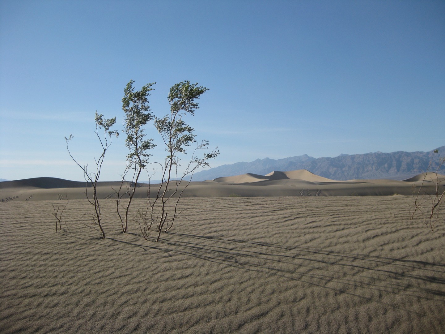 Death Valley - California - Amerika - Doets Reizen