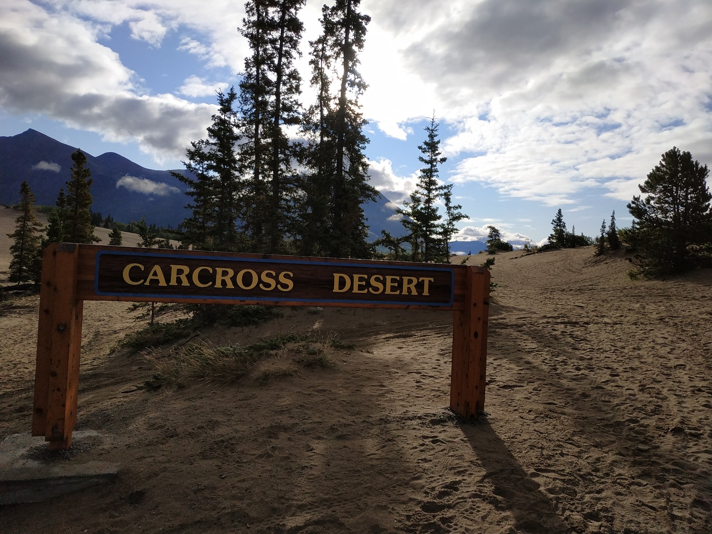 Carcross Desert - Yukon - Canada - Doets Reizen