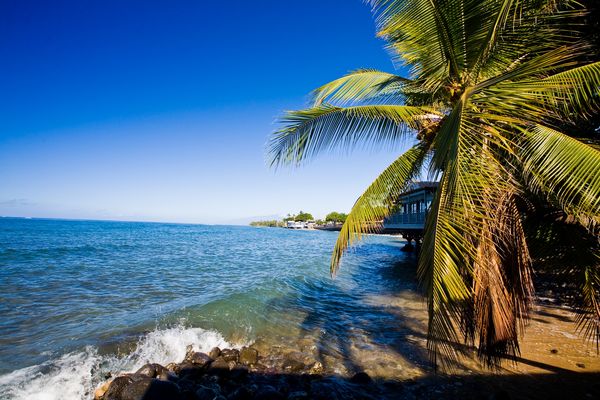 Vakantie Hawaii - Amerika - Doets Reizen