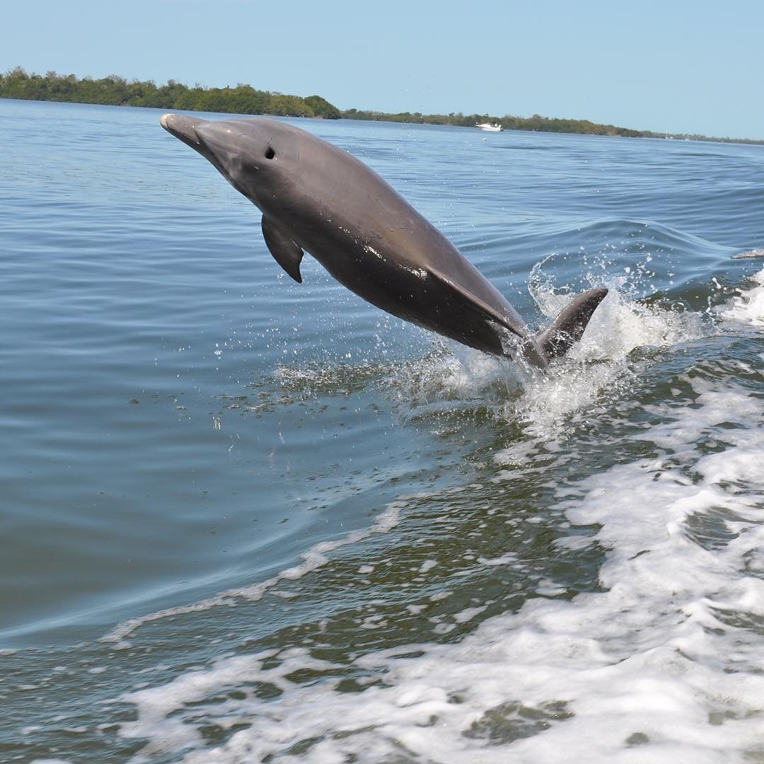 Sanibel Island - Captiva Island - Florida - Doets Reizen