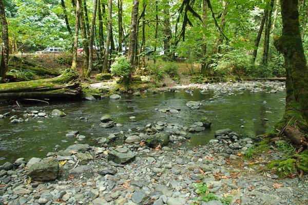 Pacific Rim National Park - Vancouver Island - British Columbia - Canada - Doets Reizen
