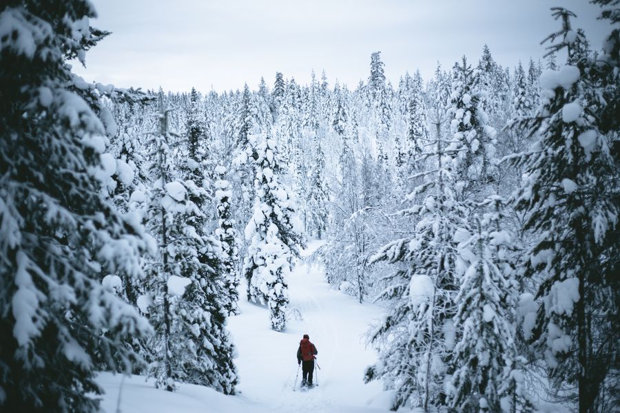 Fins Lapland Winter - Doets Reizen - Vakantie Finsland - Credits VisitLapland