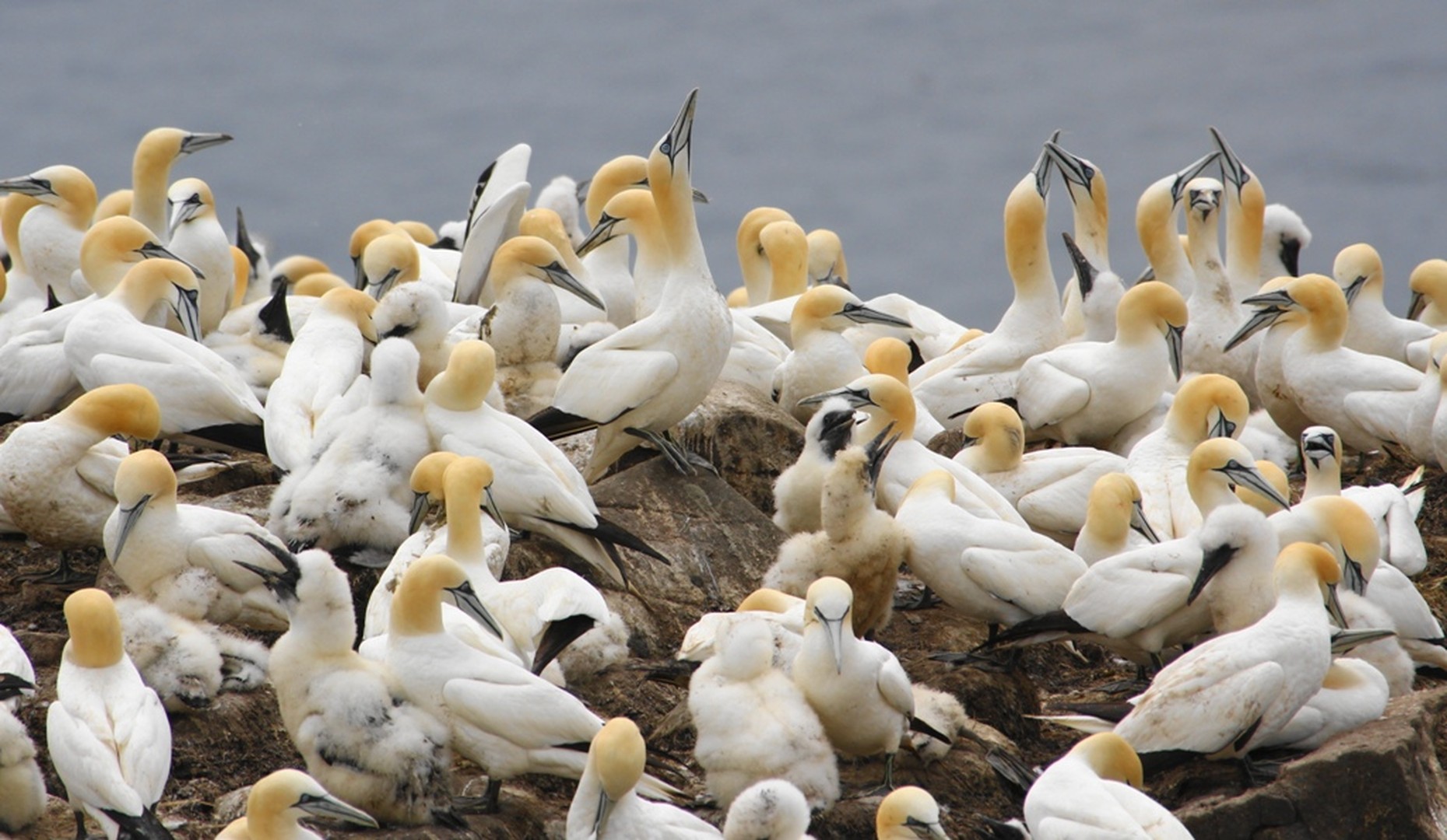 Forillon National Park - Quebec - Canada - Doets Reizen