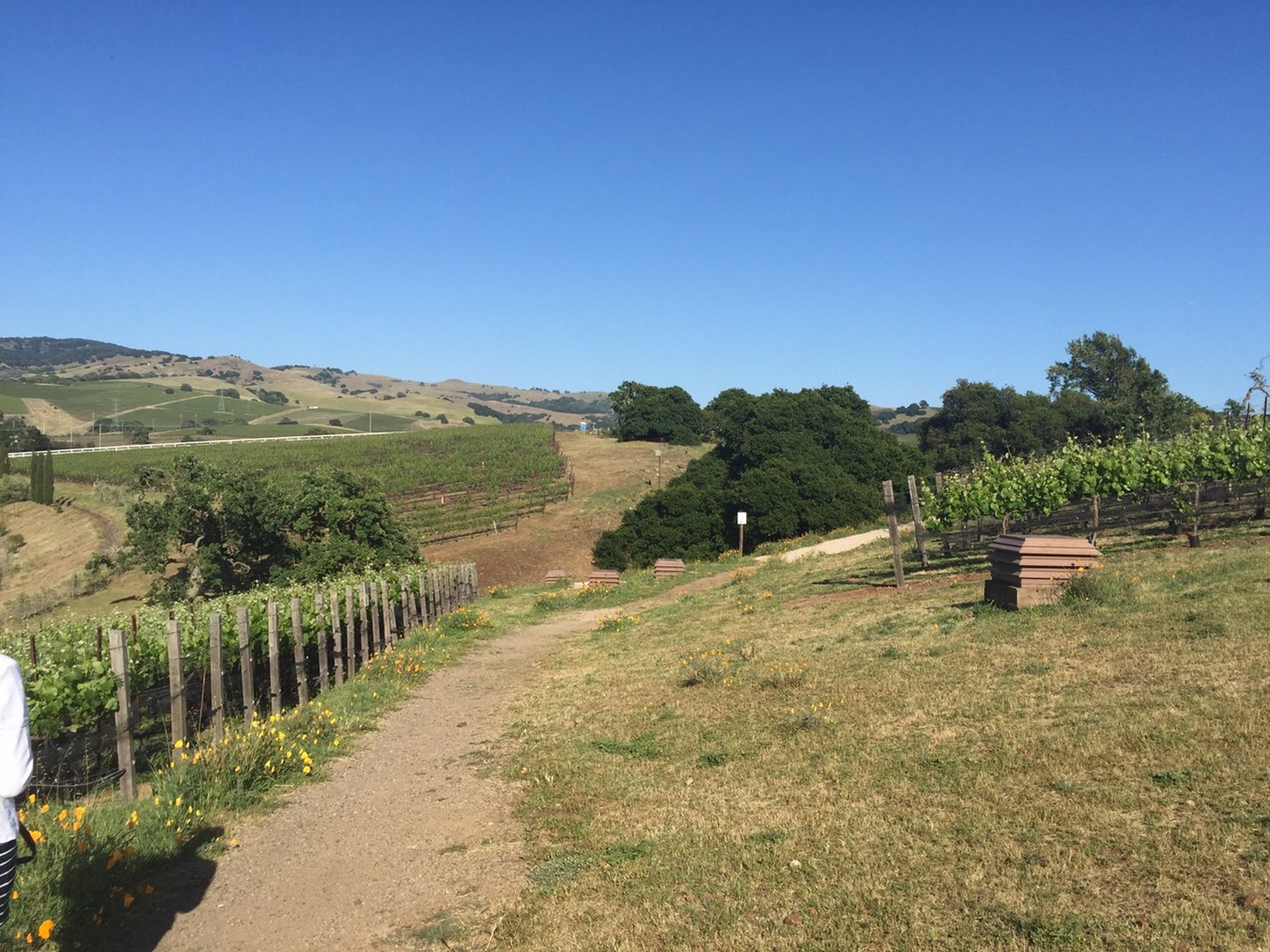 Meritage Resort - California - Amerika - Doets Reizen