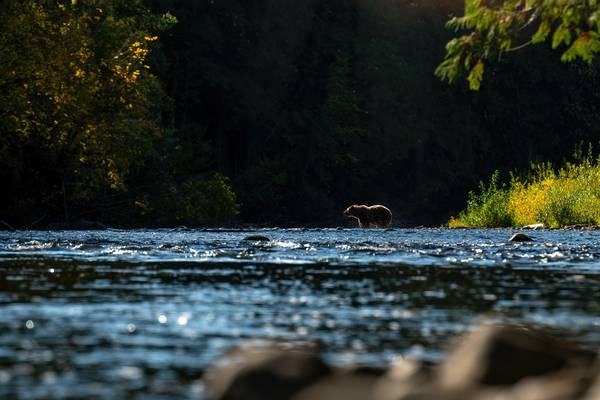 Tweedsmuir Park Lodge - British Columbia - Canada - Jesaja Class - Doets Reizen