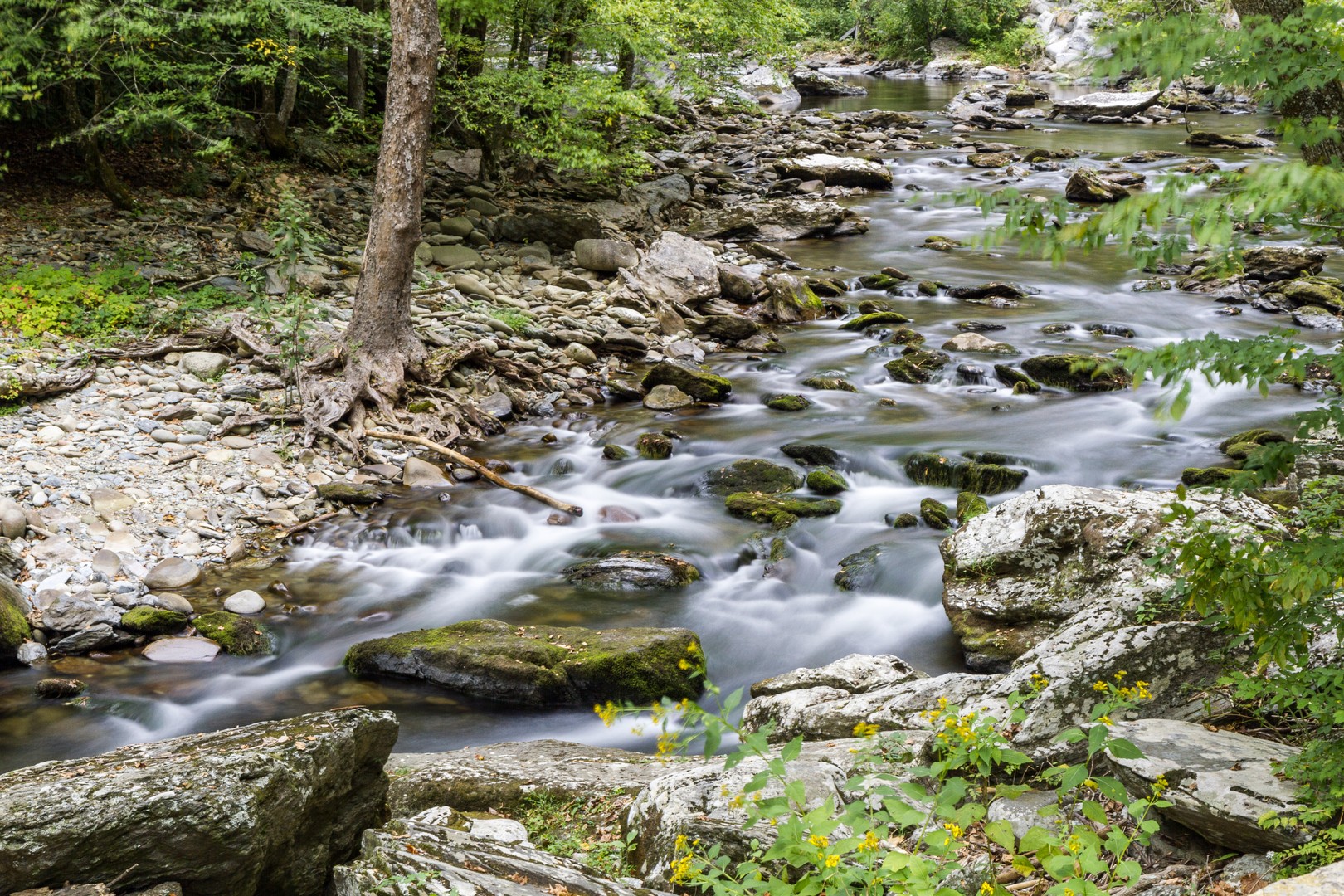 Great Smokey Mountains National Park - Tennessee - Amerika - Doets Reizen