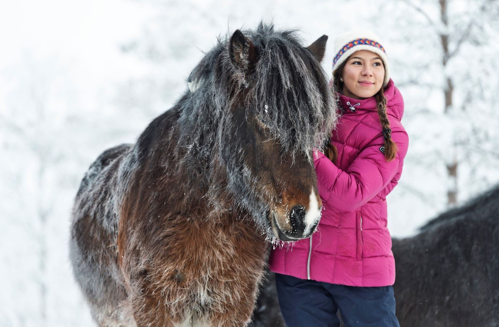 Paarden rijden - Credits Anna Öhlund & imagebank.sweden.se - 2