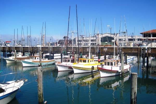 Pier 39 - San Francisco - California - Amerika - Doets Reizen