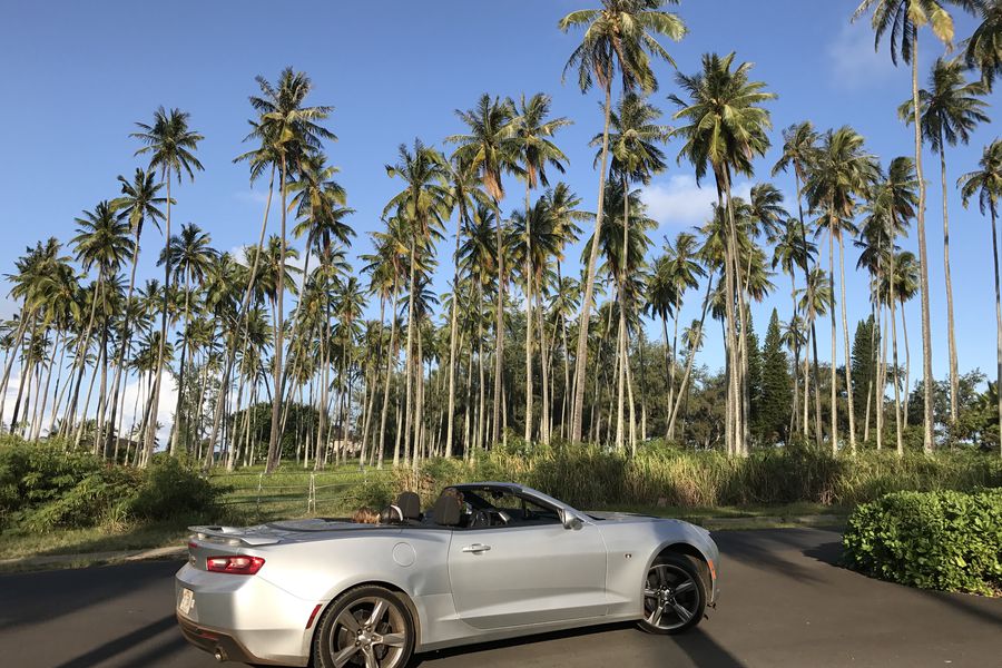 Kauai - Hawaii - Doets Reizen