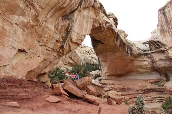 Capitol Reef National Park - Utah - Doets Reizen