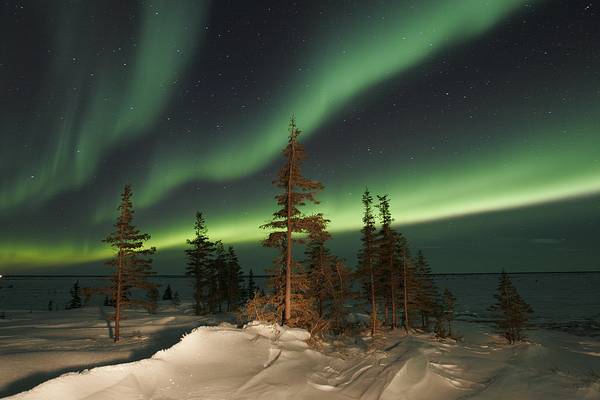 Noorderlicht Churchill - Manitoba - Canada - Doets Reizen